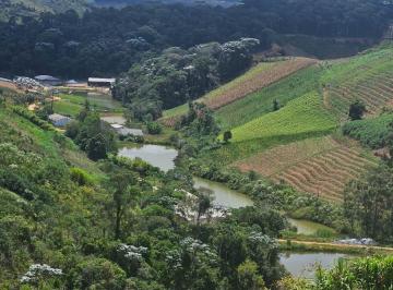 Rural , Domingos Martins · Fazenda Produtiva Em Domingos Martins