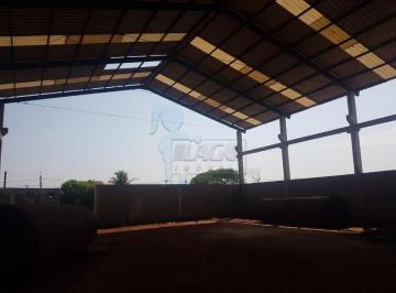 Comercial · 800m² · Comercial Padrão Galpão - Armazém Em Ribeirão Preto