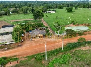 Foto 01 · Chacara, Área Rural, Ji - Paraná, Ro
