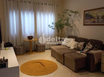 NULL · Casa Residencial E Comercial Disponível Para Venda No Bairro Jardim Karaíba Em Uberlândia - Mg