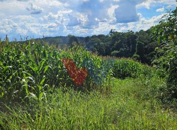 Rural · 36400m² · 1 Quarto · Chácara Em Zona Rural, Contenda/pr de 36400 m² 1 Quartos À Venda por R$470.000