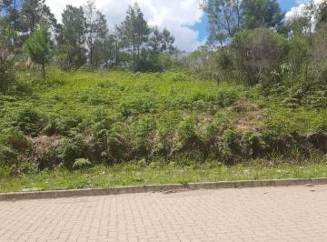 Terreno · 360m² · Terreno Em Garibaldi/rs - Bairro Alfândega