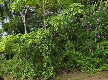 Terreno · 2240m² · Terreno À Venda No Condomínio Haras de Aldeia 1 – R$280.000