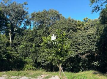 Terreno · 601m² · Terreno À Venda No Bairro Linha 40 - Caxias Do Sul/rs