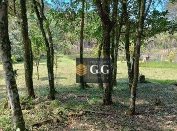3eef4d41bf08be01b30bda52a80cbc6c.jpg · Terreno Bem Localizado No Pq Florestal - Itapuã