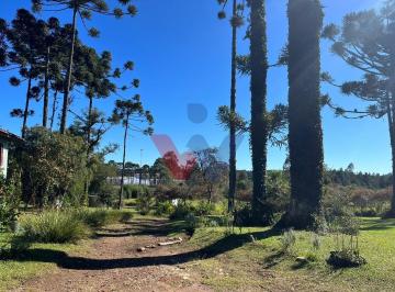 Comercial · 156963m² · Galpão Em Cacaiguera, Campina Grande Do Sul/pr de m² À Venda por R$