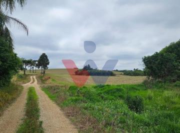 Rural · 847000m² · 1 Quarto · Chácara Em Zona Rural, Contenda/pr de m² 1 Quartos À Venda por R$