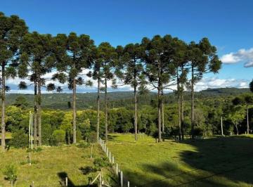 Rural · Excelente Chácara Em Ana Rech Com 2 Hectares.