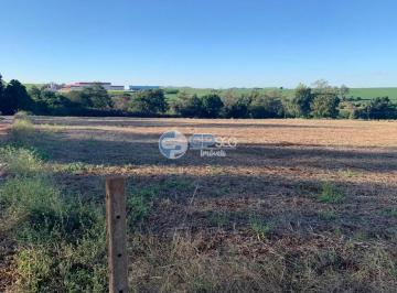 Terreno , Londrina · Terreno Em Ideal, Londrina/pr de 10 m² À Venda por R$1.950.000