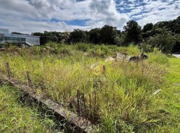 14cb7b7e45c3de6158b966efcc0d79e2.jpg · Terreno À Venda, 300 m² por R$800.000 - Nova Esperança - Balneário Camboriú/sc