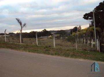Foto 09 · Terreno Para Condomínio de Alto Padrão, Ruas C/asfalto, Ou Outros Empreendimentos, Em Campo Magro Pr