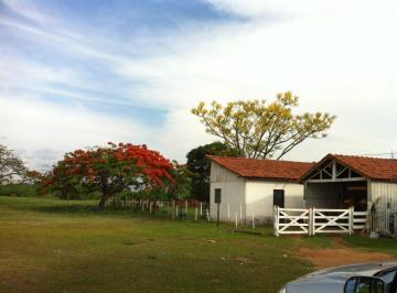 Foto 01 · Excelente Fazenda a Venda Na Pecuária Na Região de Presidente Prudente - Sp? Área Total: 390 Alq