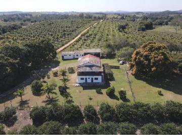 Comercial · 200000m² · Sítio Fantástico Com Produção de Limão
