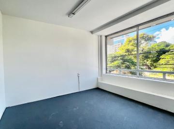 foto.jpg · Venha Ser Donno Dessa Sala Comercial - Estreito
