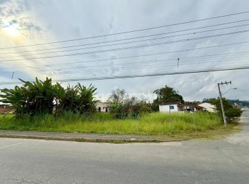 20250519-0344-682b7c16a5161.jpg · Terreno À Venda - Em Benedito