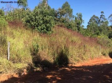 Foto 01 · Sítio Para Venda Em Amparo, Bairro Pedra Branca