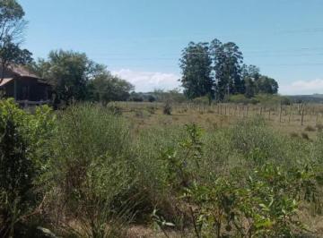 Terreno · 900m² · Terreno Para Venda Em Viamão, Passo Do Vigário