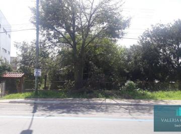 Terreno · 870m² · Terreno Para Venda Em Viamão, Cecília