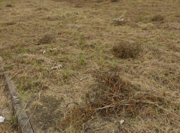 Terreno · 488m² · Terreno Para Venda Em Santa Cruz Do Sul, Linha Santa Cruz