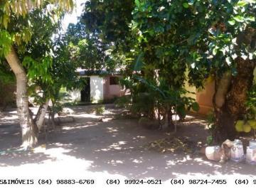 Rural · 330m² · 4 Quartos · 6 Vagas · Granja Para Venda Em São José de Mipibu, Zona Rural, 4 Dormitórios, 4 Suítes, 5 Banheiros, 6 Vagas