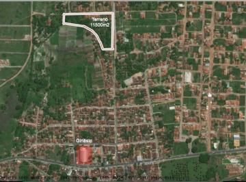 Terreno · 11500m² · Terreno Para Venda Em São Gonçalo Do Amarante, Novo Amarante