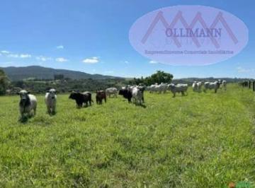 Terreno · 500m² · 4 Quartos · 10 Vagas · Área Rural Para Venda Em Capela Do Alto, Capela Do Alto, 4 Dormitórios, 2 Suítes, 3 Banheiros, 10 Va