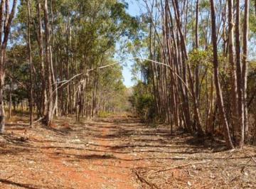 Rural · 1214ha · Fazenda Para Venda Em Felixlândia, Zona Rural