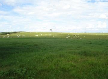 Rural · 4939ha · Fazenda Para Venda Em Marília, Área Rural de Marília