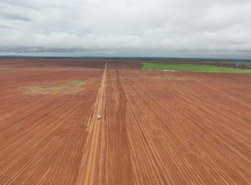 Rural · 10019ha · Fazenda Para Venda Em Pedro Afonso, Zona Rural