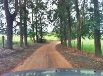 Rural · 2979ha · Fazenda Para Venda Em Presidente Prudente, Área Rural de Presidente Prudente