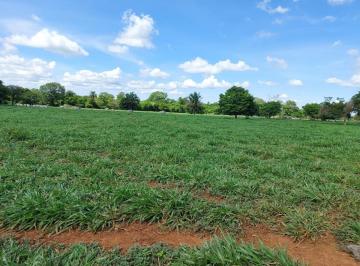 Rural · 735ha · Fazenda Para Venda Em Cuiabá, Área Rural de Cuiabá