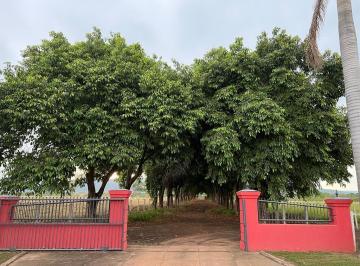Rural · 4840ha · Fazenda Para Venda Em Formosa, Área Rural de Formosa