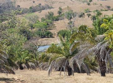 Rural · 1331ha · Fazenda Para Venda Em Morrinhos, Zona Rural