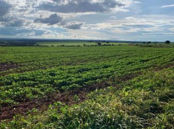Rural · 939ha · Fazenda Para Venda Em Caldas Novas, Zona Rural