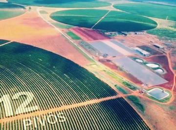 Rural · 2050ha · Fazenda Para Venda Em Buritizeiro, Zona Rural