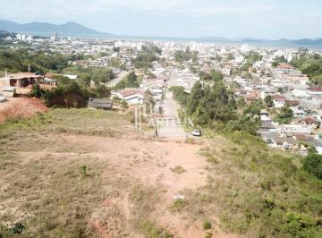Terreno · 6000m² · Terreno Para Venda Em Biguaçu, Fundos