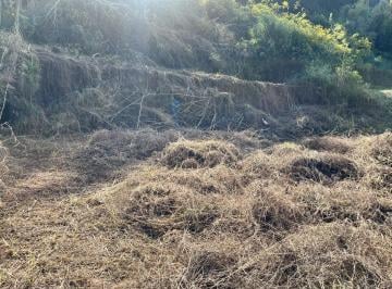 Terreno , Nova Friburgo · Terreno Para Venda Em Nova Friburgo, Nova Suiça