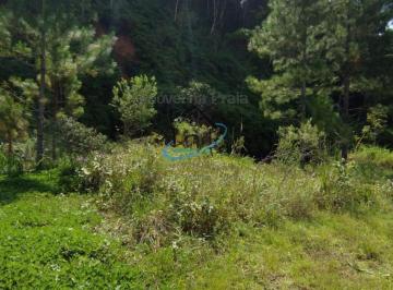 Terreno · 280m² · Terreno Para Venda Em Caraguatatuba, Capricórnio III