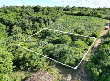 Rural · 3000m² · Sítio / Chácara Para Venda Em Mata de São João, Imbassaí