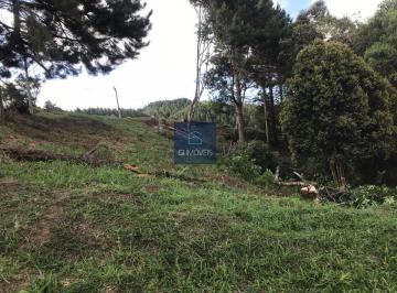 Terreno · 931m² · Terreno Para Venda Em Rancho Queimado, Centro