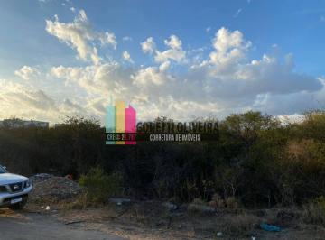 20210901T2340240300-769467555.jpg · Terreno Com 780 m² No Muchila 2