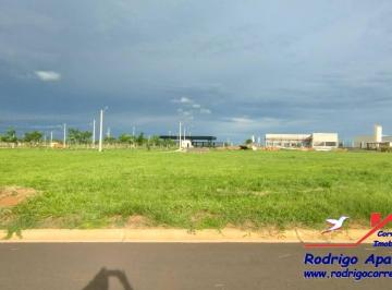 20230329T2145210300-704627216.jpg · Terreno À Venda - Residencial Vila Madalena II - Araçatuba