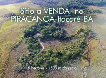 Sítio a venda Piaracanga Itacaré Bahia · Sítio Para Venda Em Itacaré, 30 Minutos Da Cidade de Itacaré, 2 Dormitórios, 2 Suítes, 2 Banheiros