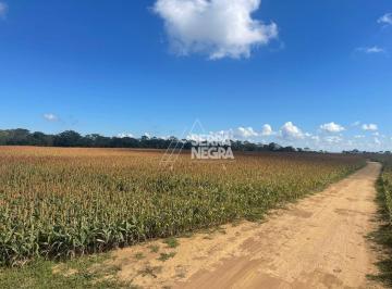 Foto 01 · Fazenda Dupla Aptidão 30 Alqueires Luziania - Goias