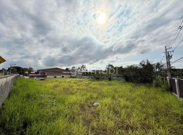 20250526-0218-6834a2983a3ee.jpg · Terreno À Venda - Em Ribeirão Das Pedras