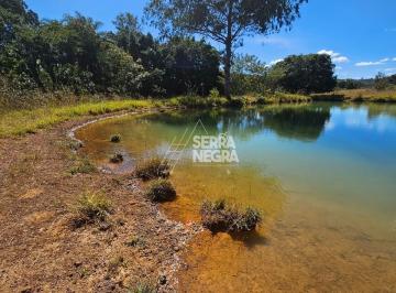 Foto 06 · Urgente Fazenda Dupla Aptidão Escriturada 65 Hectares Núcleo Rural Alexandre Gusmão