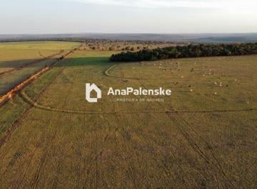 Foto 07 · Fazenda de 797 Hectares À Venda Em Costa Rica/ms. Dupla Aptidão. Localizada a 18 Km Da Ms - 316 - a o