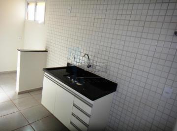 Apartamento · 48m² · 1 Quarto · 1 Vaga · Apartamento de 48 m² Com 01 Quarto Para Locação - Centro