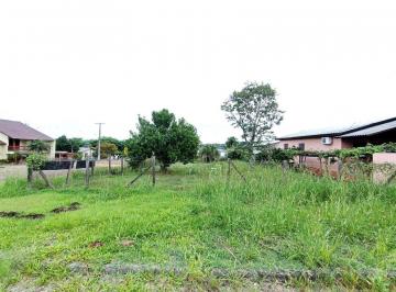 Terreno · 450m² · Terreno Amplo Castelo Branco