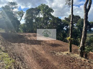 Rural · 20000m² · 1 Quarto · Sítio Com 20.000 m², Escriturado, 8 Km Do Asfalto, Analisa Permuta, Apenas R$395.000